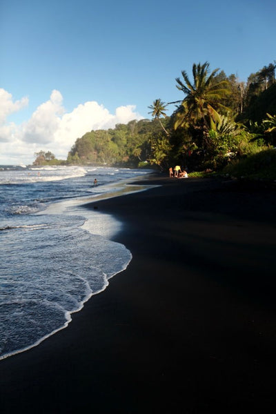 IDM's Favorite Travel Destinations